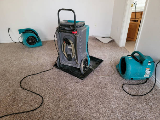 Best Ceiling water damage repair  in Manhattan, KS