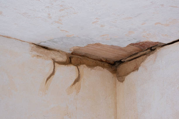 Best Mold removal after water damage  in Manhattan, KS