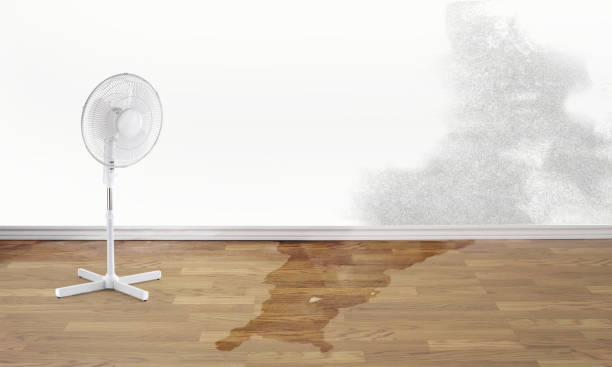 Best Water damage mitigation services  in Manhattan, KS