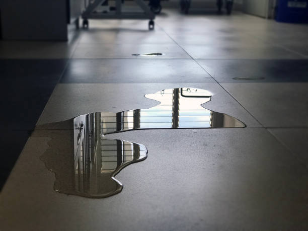 Best Water damage restoration company  in Manhattan, KS
