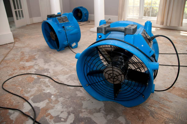 Best Carpet water damage restoration  in Manhattan, KS