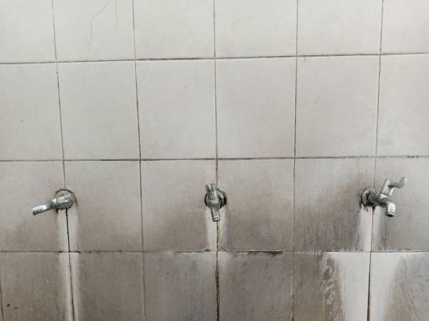 Best Flood damage cleanup  in Manhattan, KS