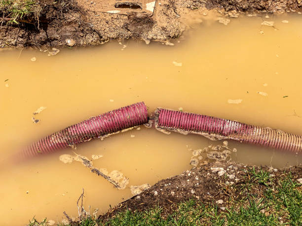 Best Flood damage cleanup  in Manhattan, KS