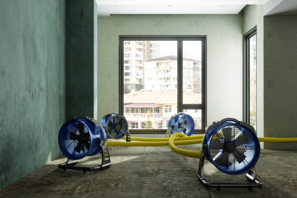 Best Local water damage restoration  in Manhattan, KS